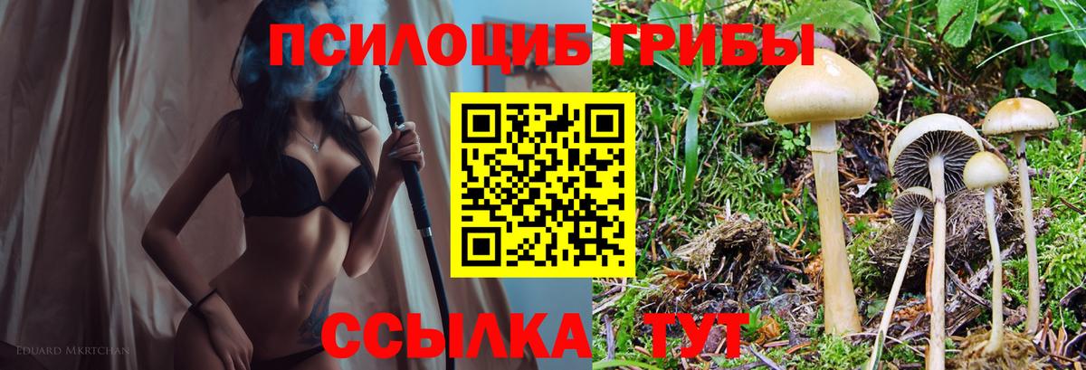 Галлюциногенные грибы мицелий  закладка  Орёл  Вход с VPN 